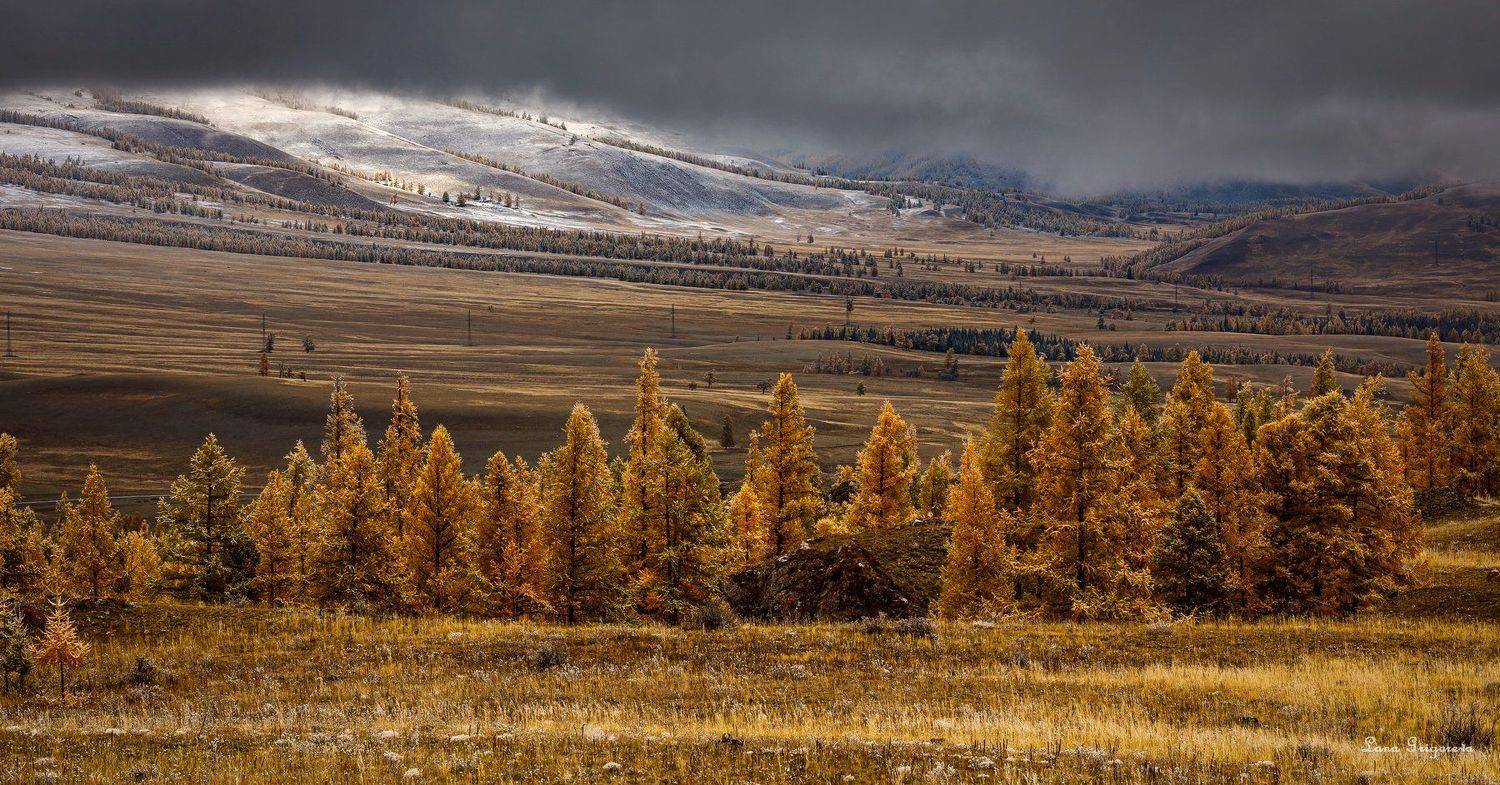 Пейзаж, Алтай, путешествие, осень, , Лана Григорьева