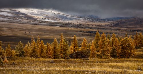Осенний джаз
