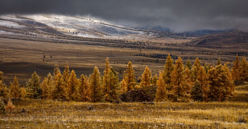 Пейзаж, Алтай, путешествие, осень,  Осенний джаз фото превью