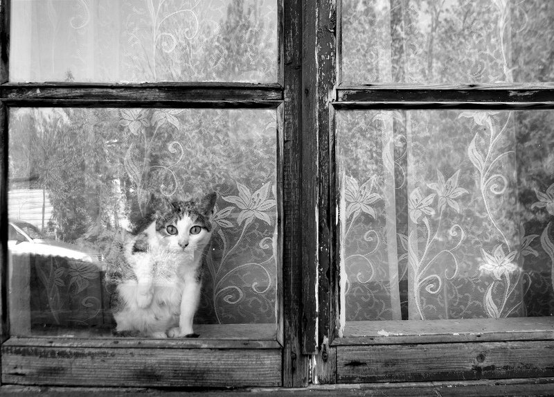 * фото превью