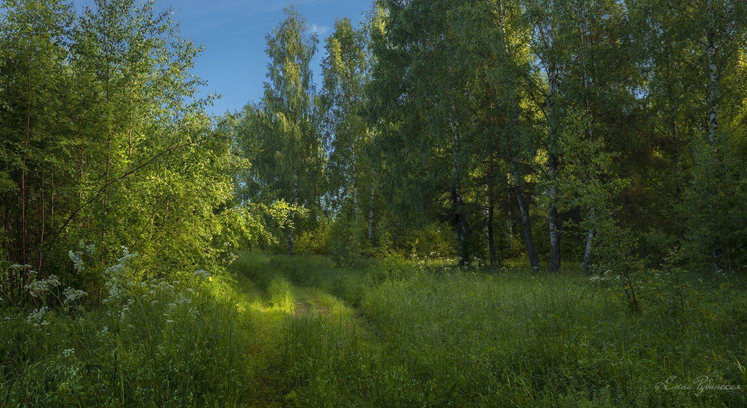 , Елена Рубинская