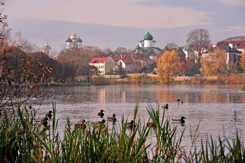 город, пейзаж, осень, псков, собор, река пскова,  Псков осенний. фото превью