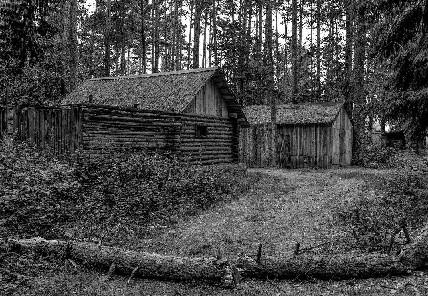 пейзаж, монохром, Sixten ( Сергей )