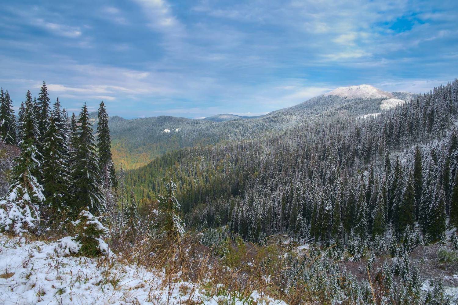 #landscape #nature #scenery #forest #wood #autumn #mist #misty #fog #foggy #river #waterfall #longexposure #mountain #vitosha #bulgari #aтуман #лес #oсень, Леонид Морозов