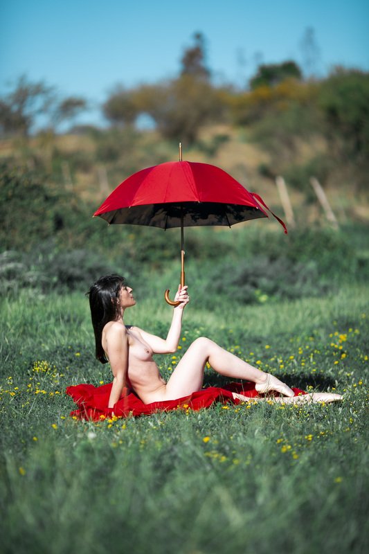 Sunny day фото превью