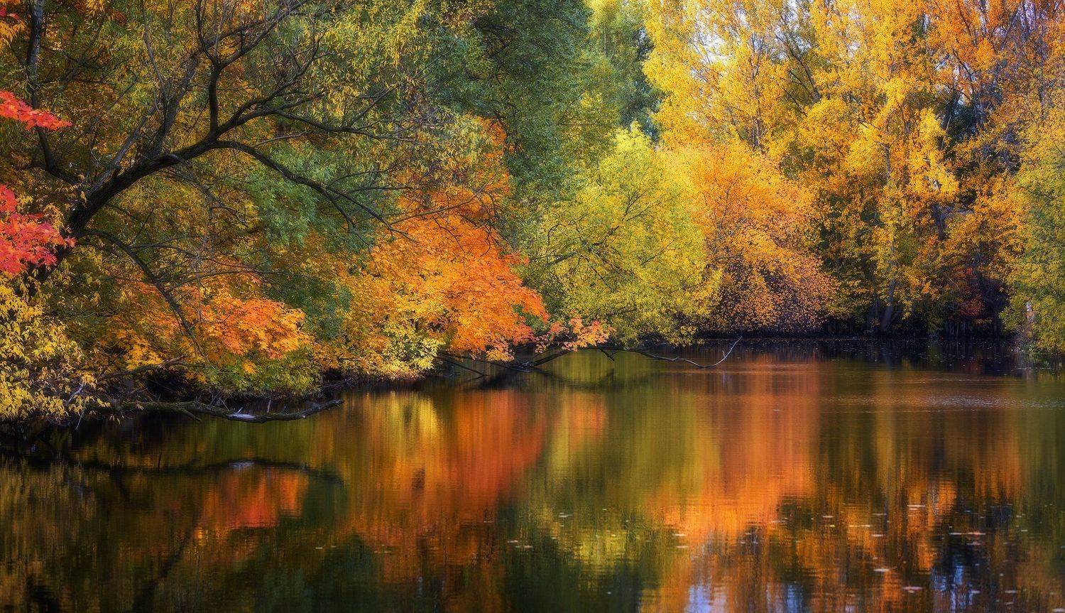 Река Таракановка., Юрий Чернов