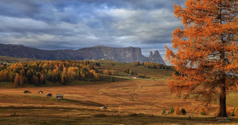 Золото Доломитовых Альп фото превью