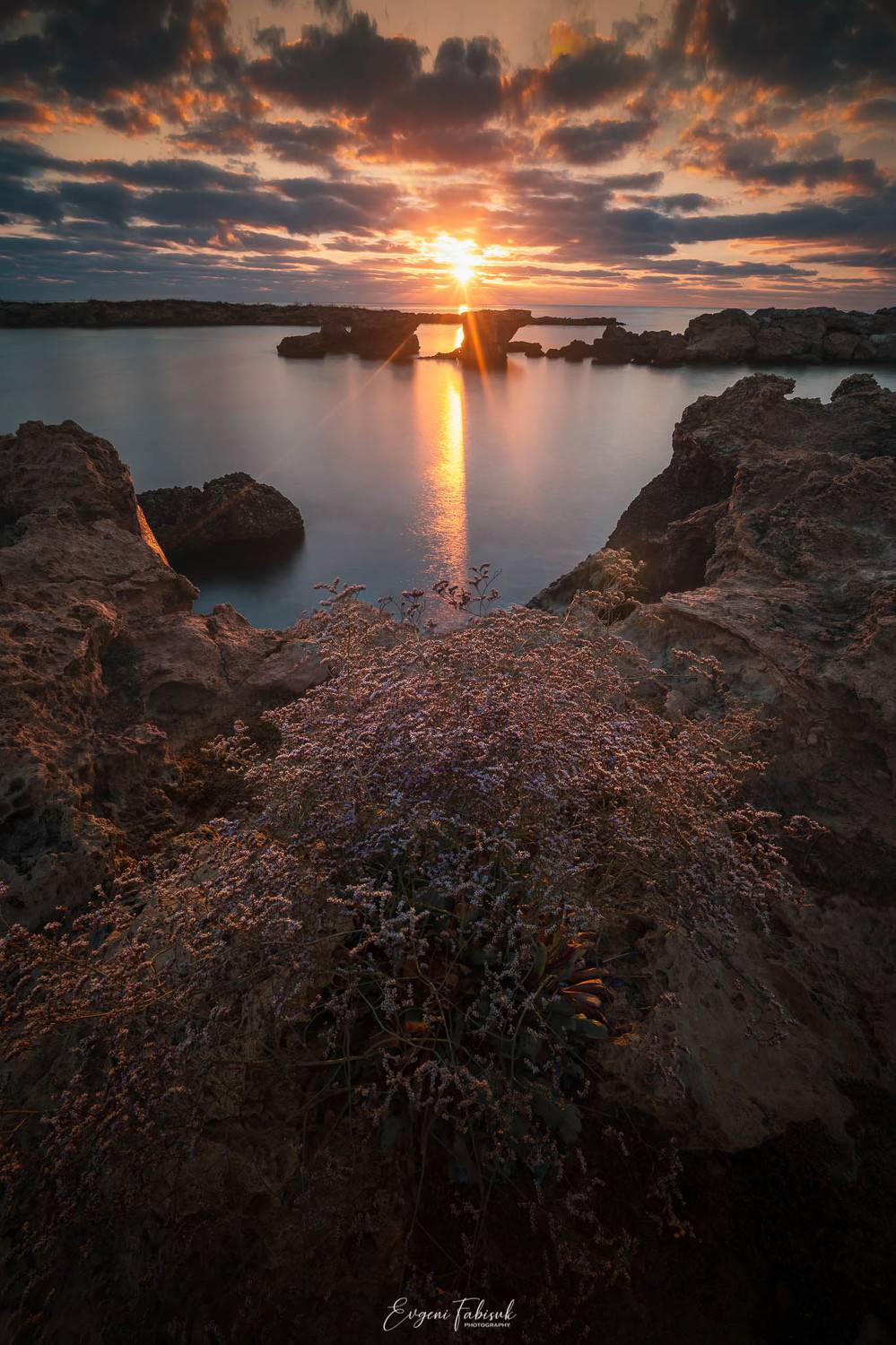 , Evgeni Fabis