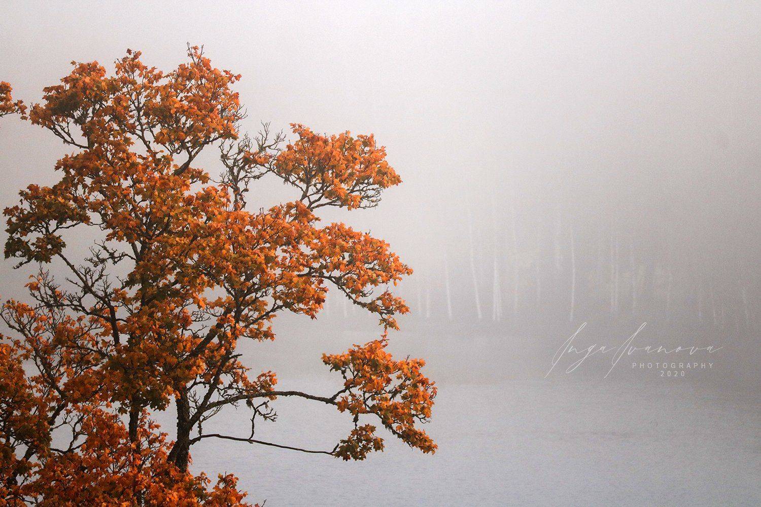 , Инга Иванова