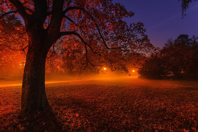 Autumn фото превью