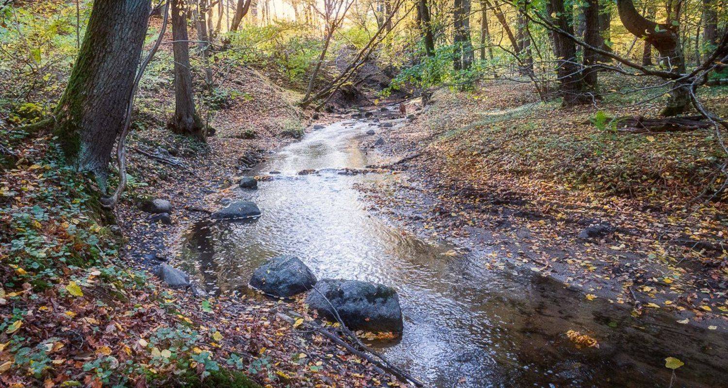 , Татьяна Рутковская