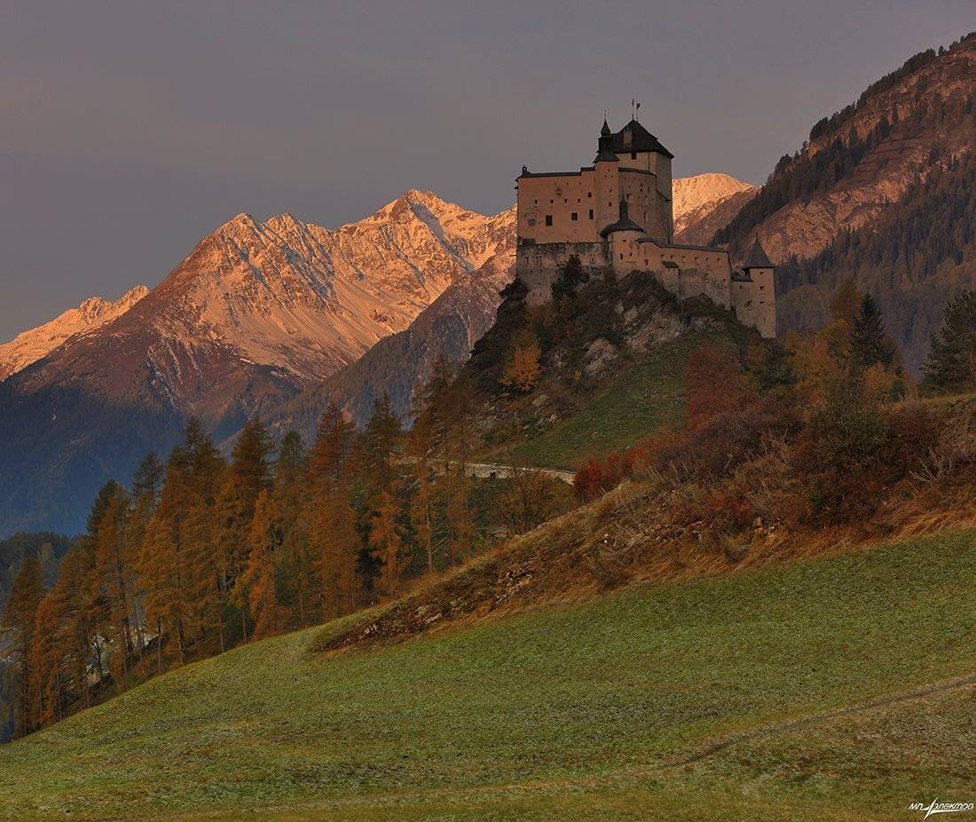 swiss, Матвеев Николай