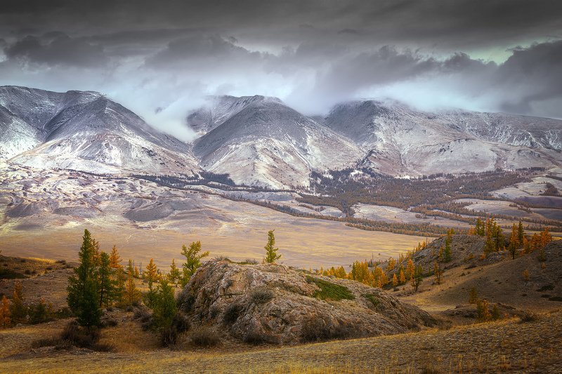 Курайская степь Алтай фото превью