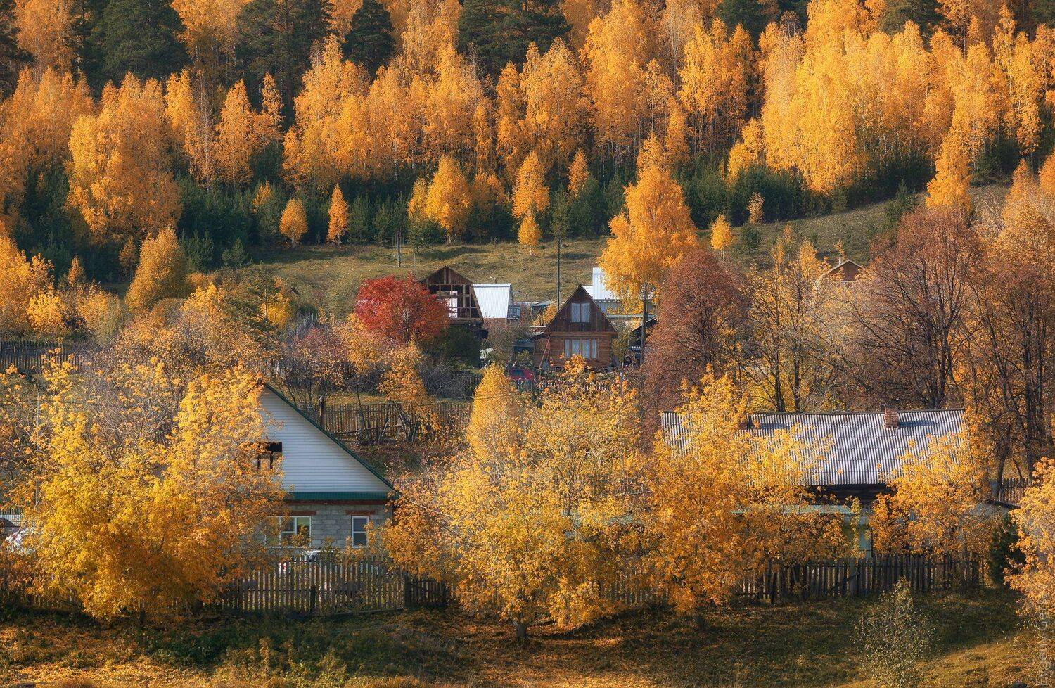 осень, пейзаж, деревня, Евгений Гецев