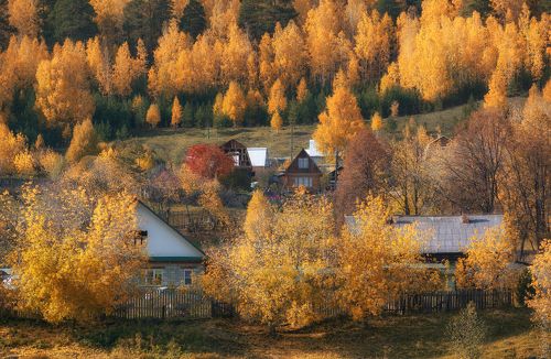 Осень в деревне