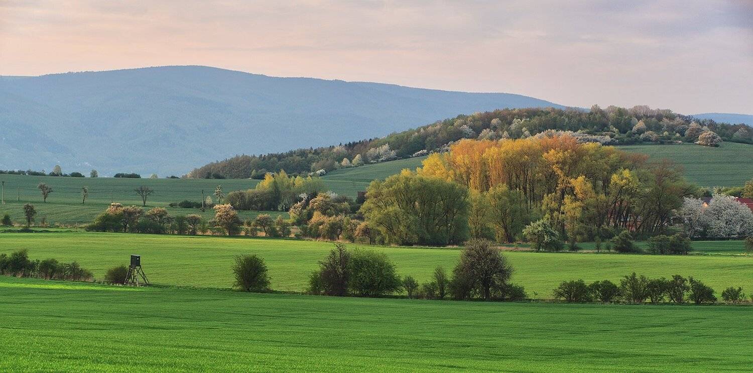 весна,утро, Игорь Дубровский
