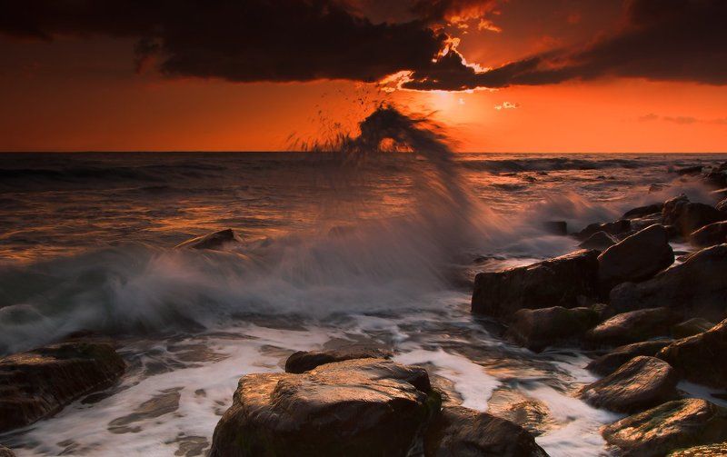 Морской дракон) фото превью