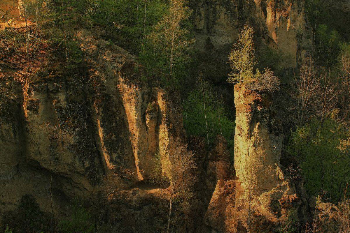 , Михаил  Пилипенко