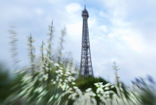 Весеннее головокружение...