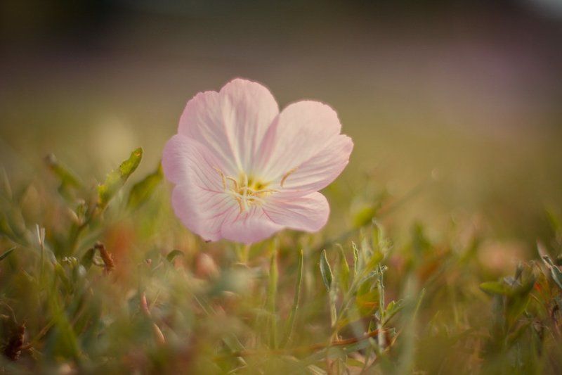 Утро фото превью