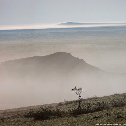 Утро в степи