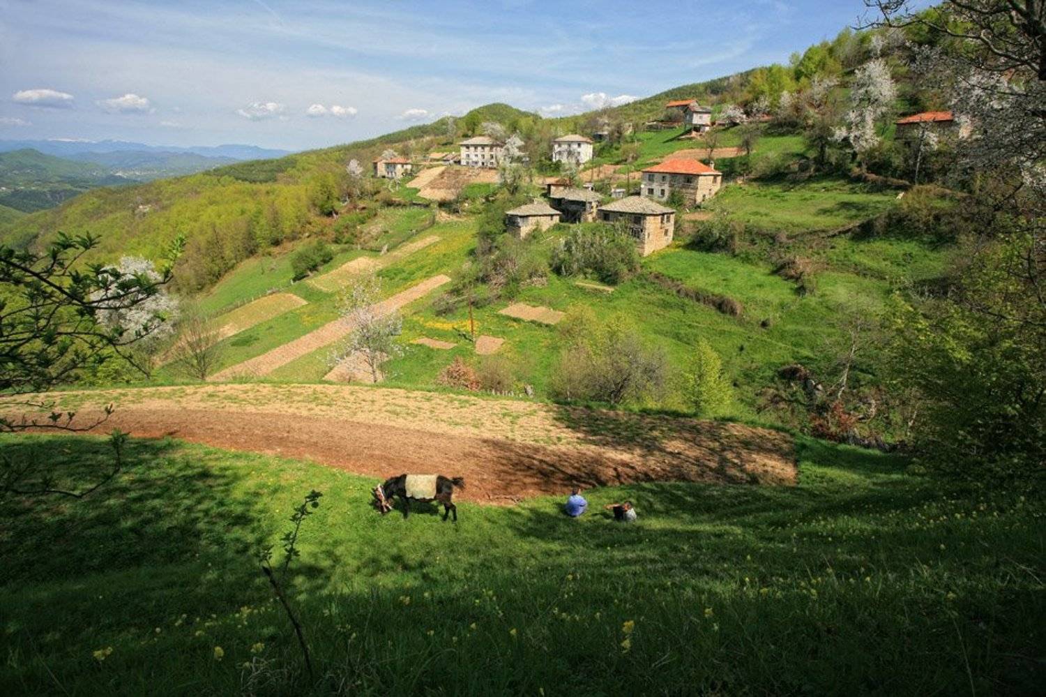 , Тодор Трамбабов