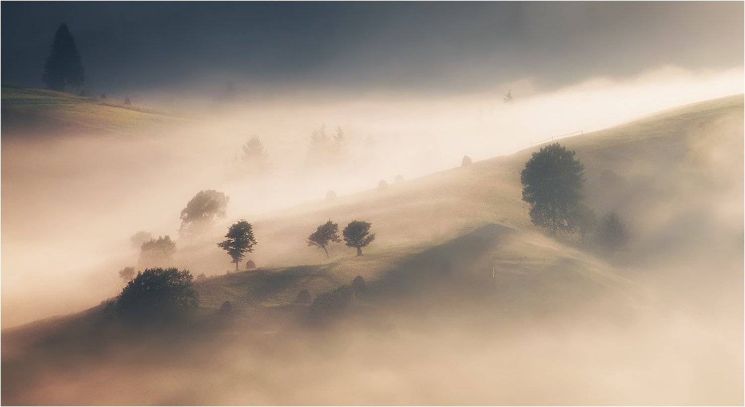 , Денис Кривой