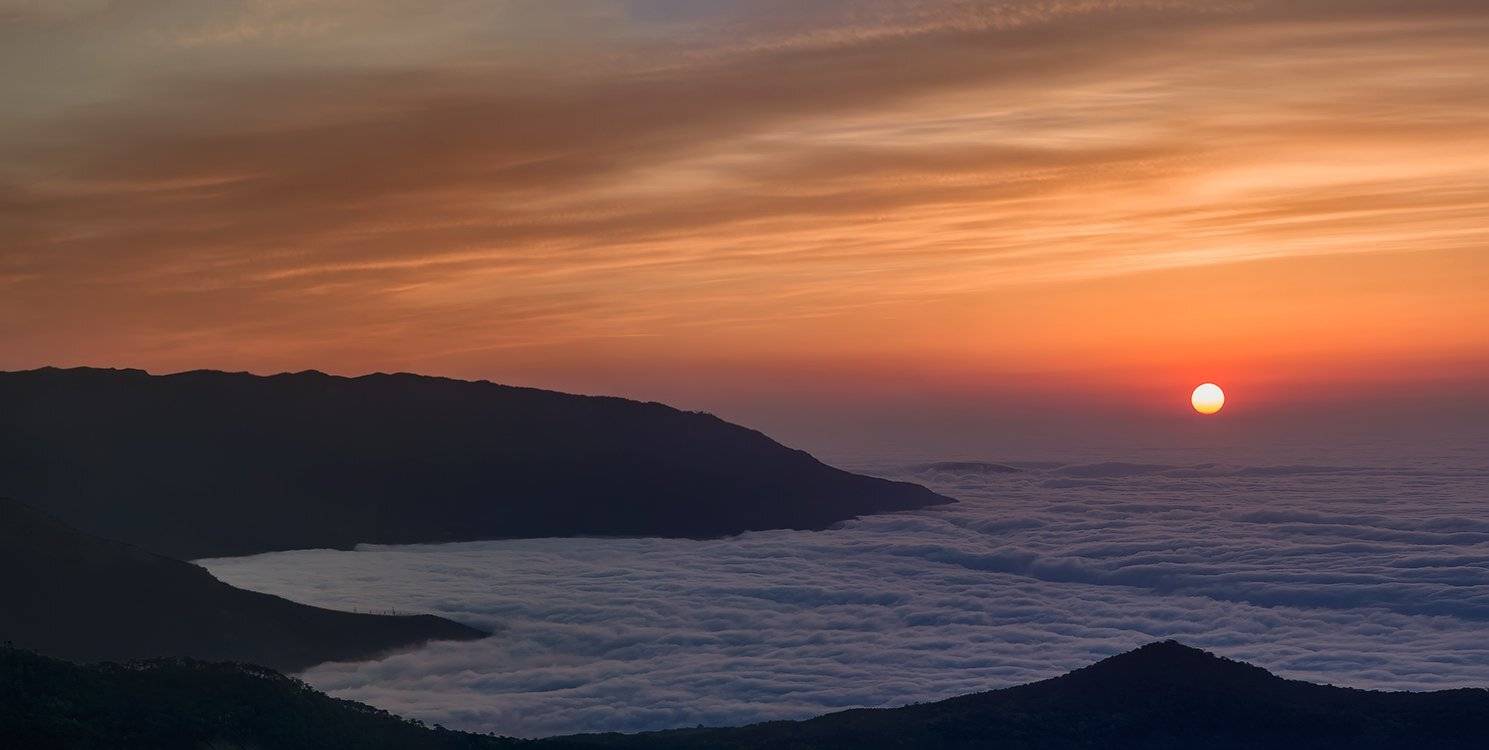 , Игорь Мелекесцев