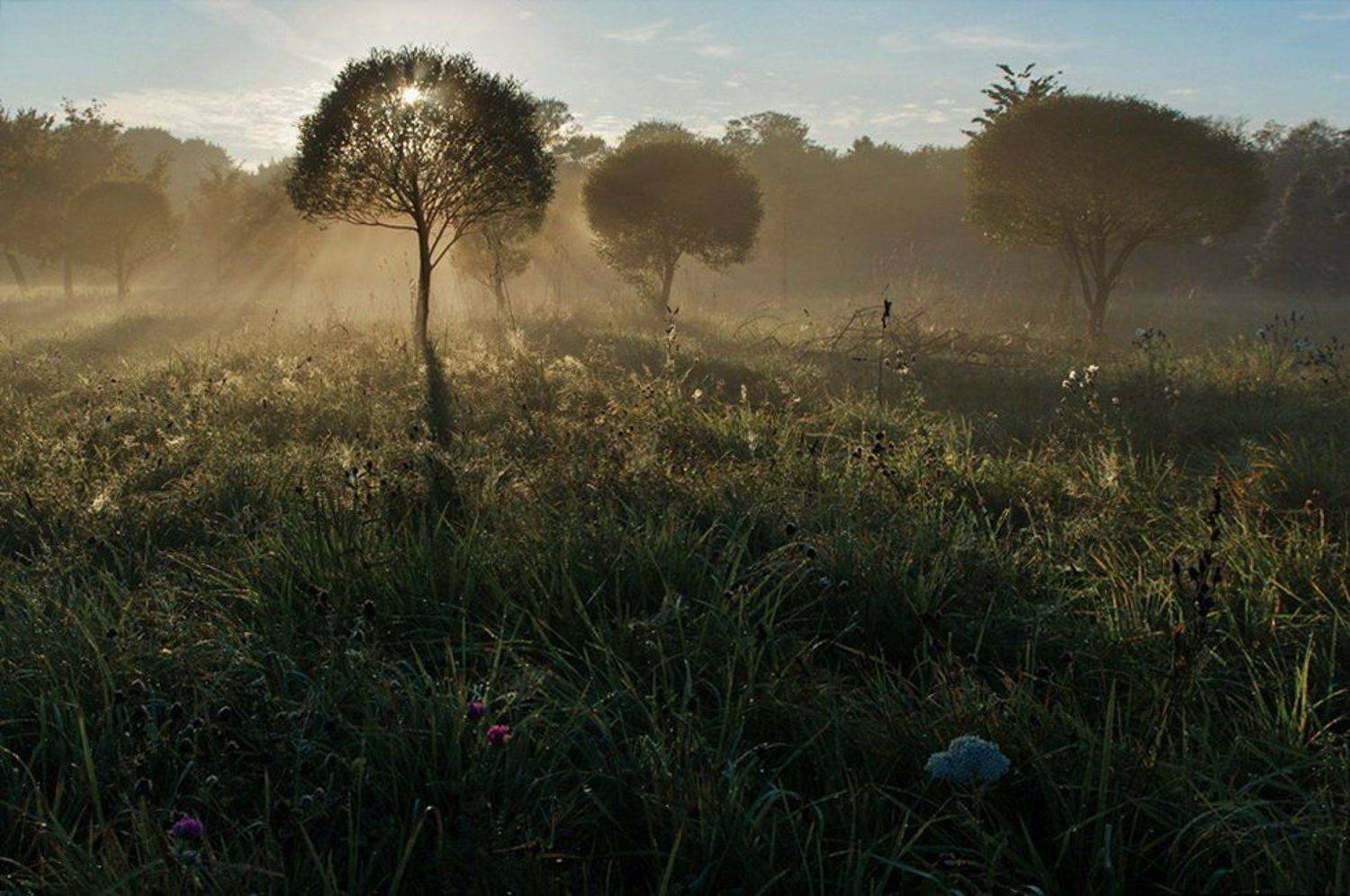 , Володя Демидчик