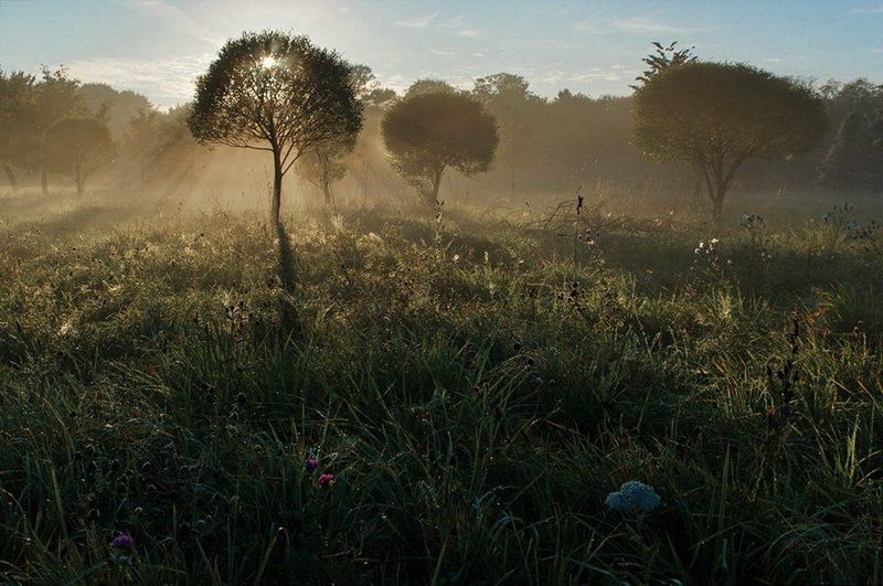 -*--- фото превью