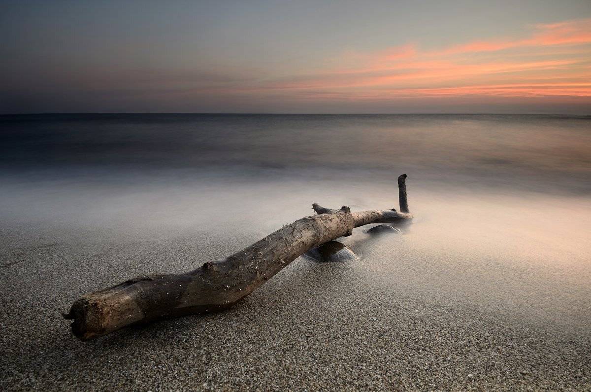 , Румен Паисиев