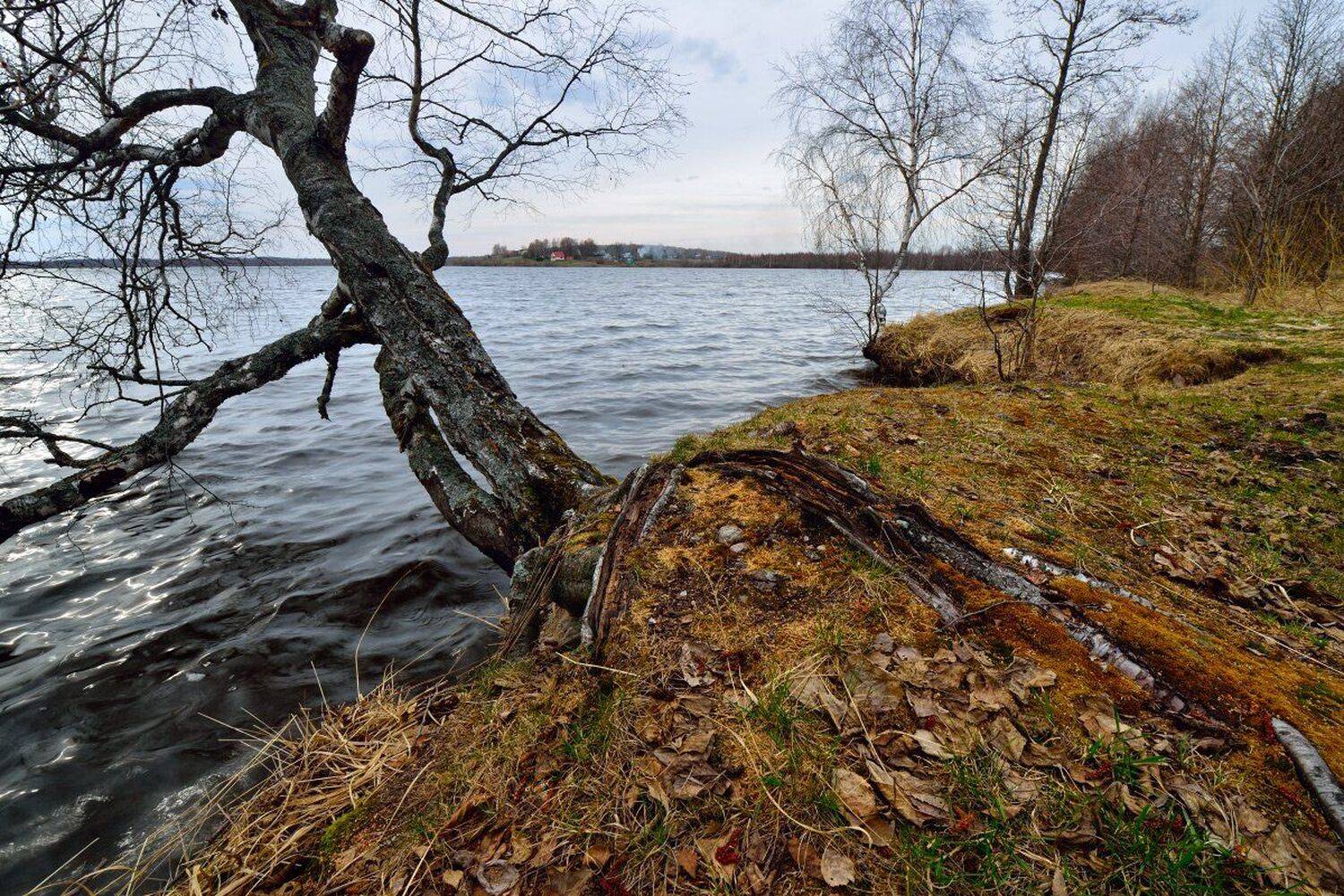 рюмниковское, озеро, Максим Евдокимов