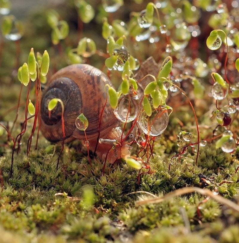 , Андрей Осокин