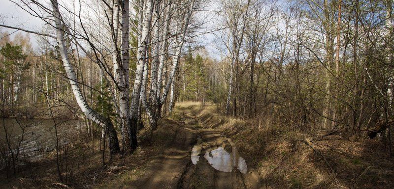 Опоздавшая ранняя весна фото превью
