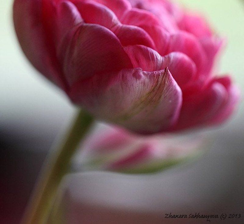 *** фото превью