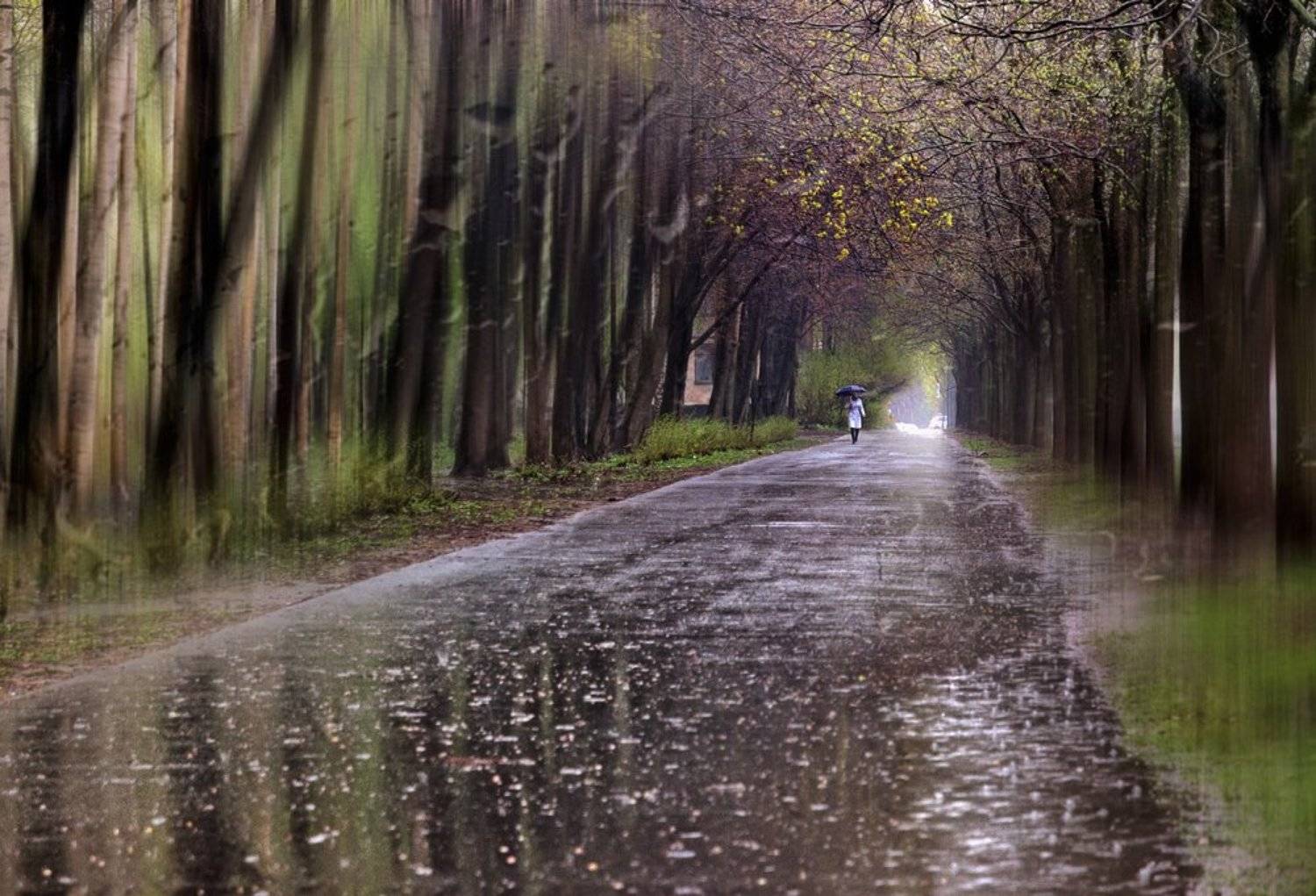 , Эдуард Гордеев