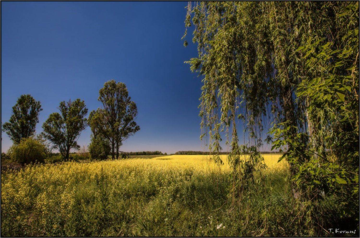 , Татьяна Корнус