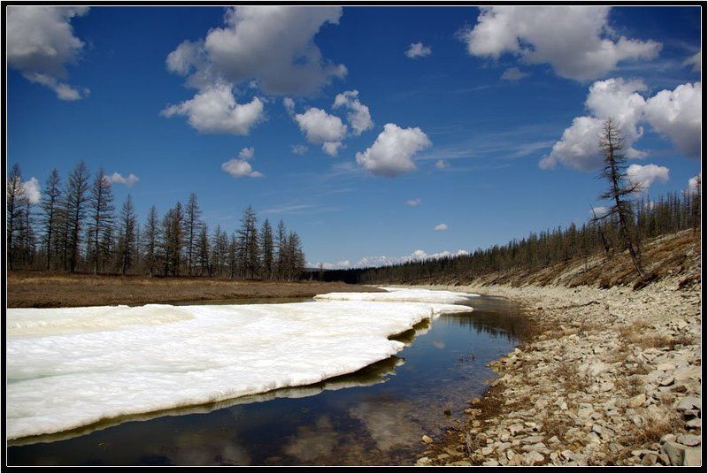 Весенний пейзаж фото превью