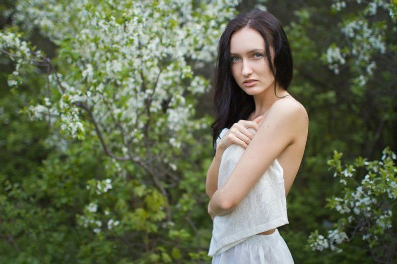 цветущие, вишни цветущие вишни фото превью