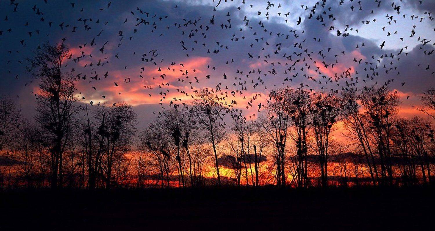 , Александр Сысуев