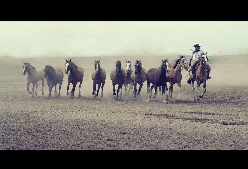Аргентинских гаучо фото превью