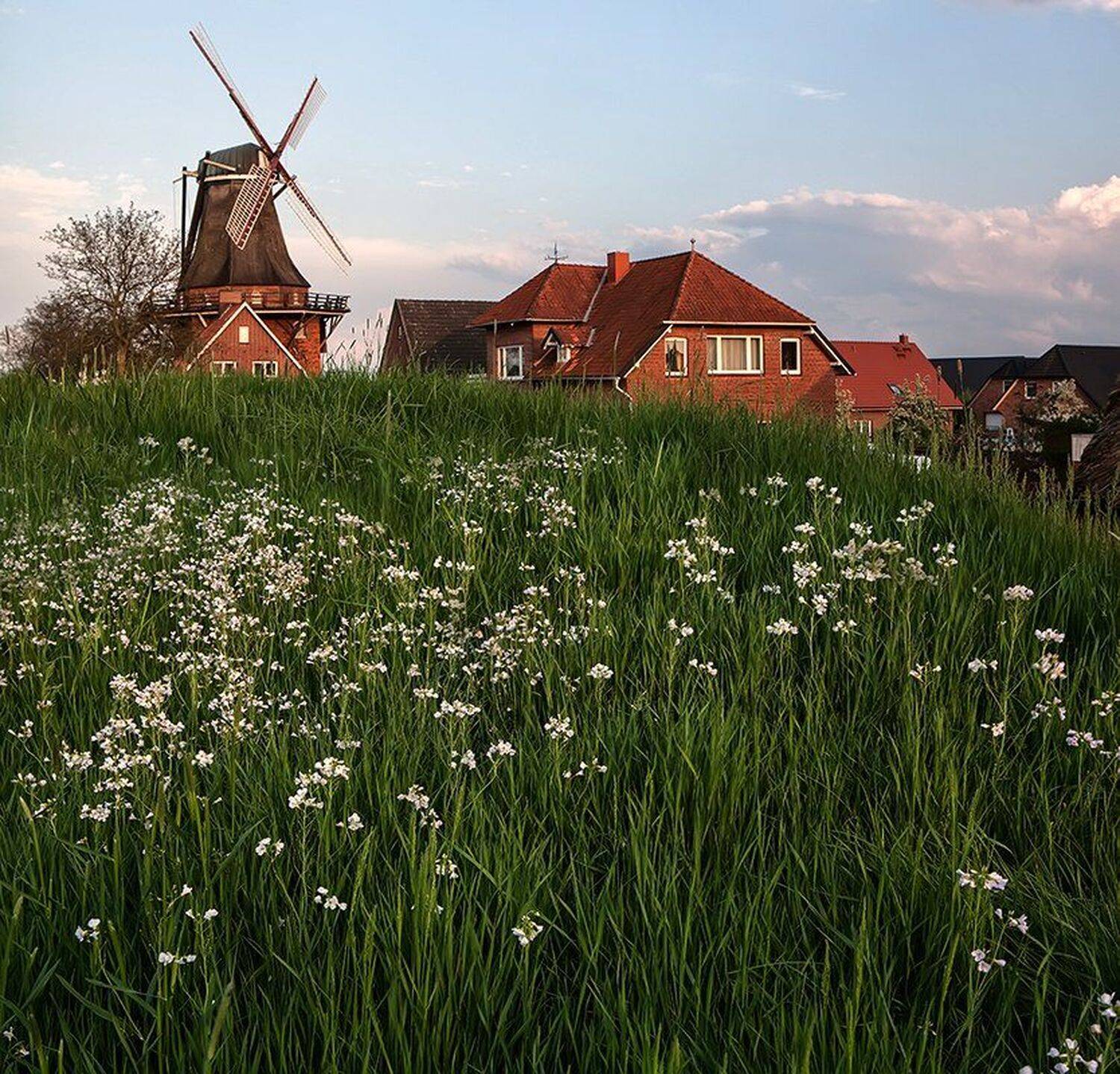 германия, гамбург, весна, Игорь Дубровский