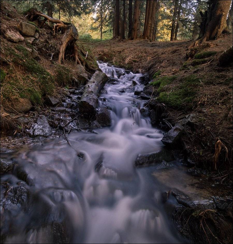 , Полищук И.В.