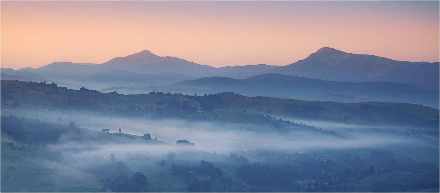 , Денис Кривой