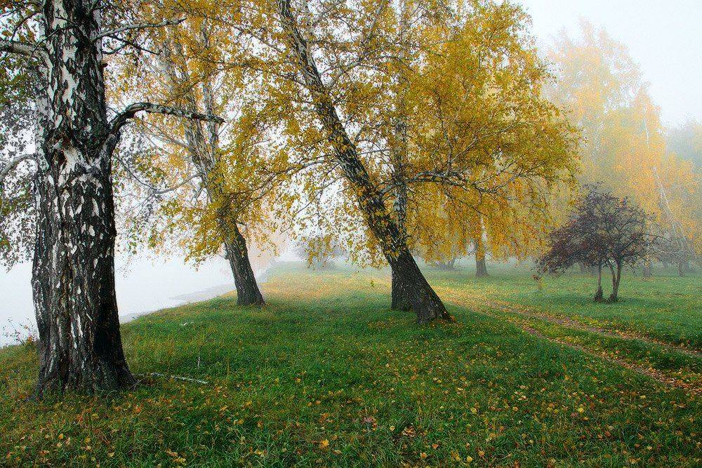 , Николай Морский