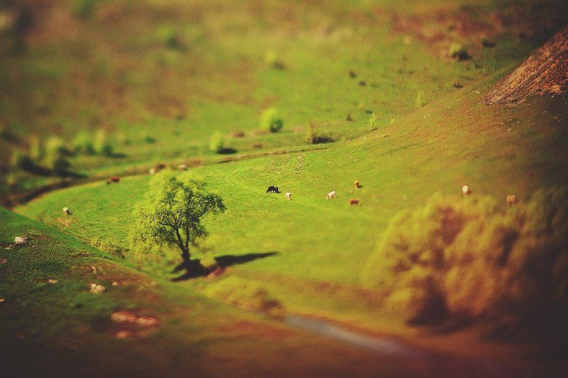 майское настроение фото превью