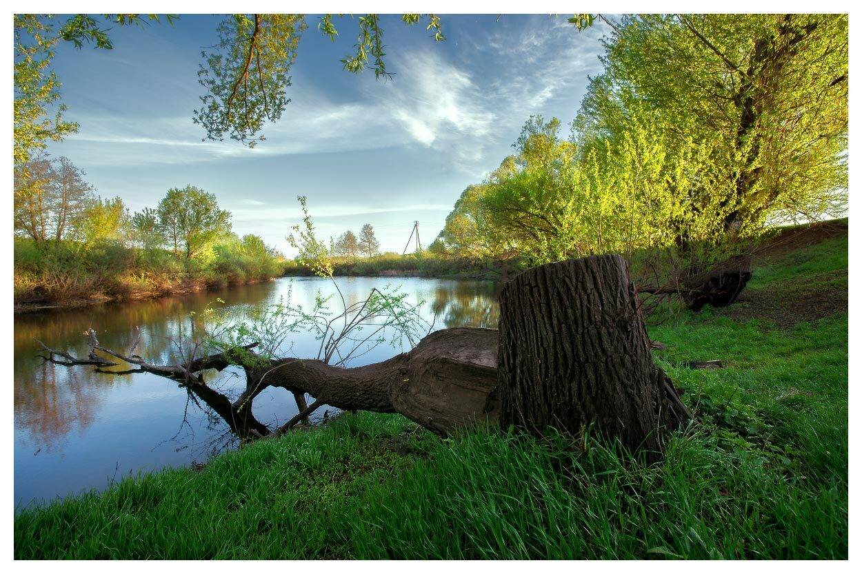 , Владимир Ляпин