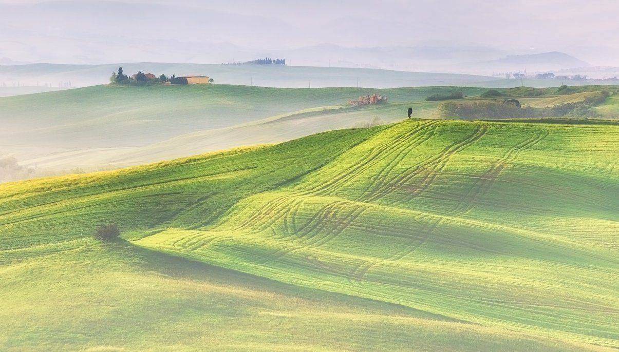 mc, italy, spring, М.