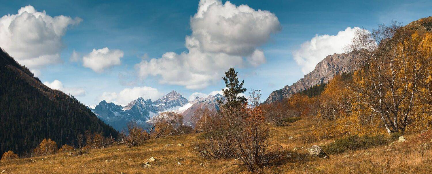 осень, гоначхир, семенов, баши, Николай Мысливцев