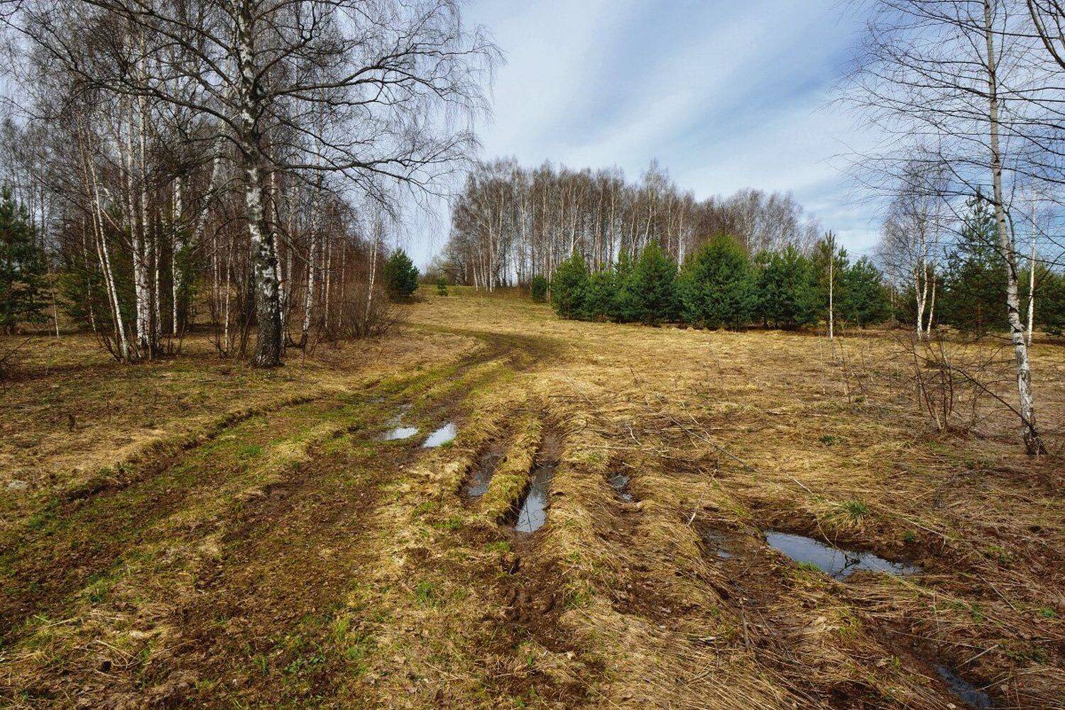 , Максим Евдокимов